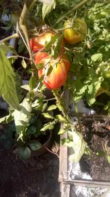 1954925f-aec2-41a9-9b89-1f76e1757bcd